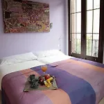 Rey De Sevilla Flats - Macarena